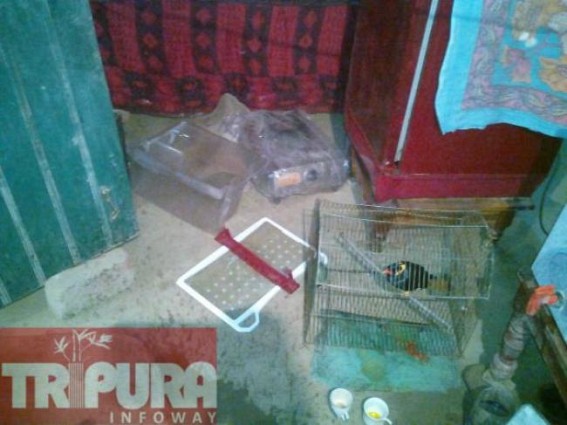 Kamalpur: Police inhumanly ransacked the furniture not finding the searched person Kamalpur: Police inhumanly ransacked the furniture not finding the searched person
